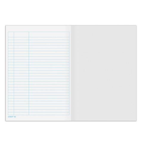 Книга учета 48 л., пустографка, обложка из мелованного картона, блок офсет, (А4 200х290 мм), STAFF, 130212