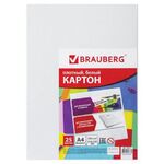 Картон белый А4 МЕЛОВАННЫЙ (глянцевый), 25 листов, BRAUBERG, 210х297 мм, 124021