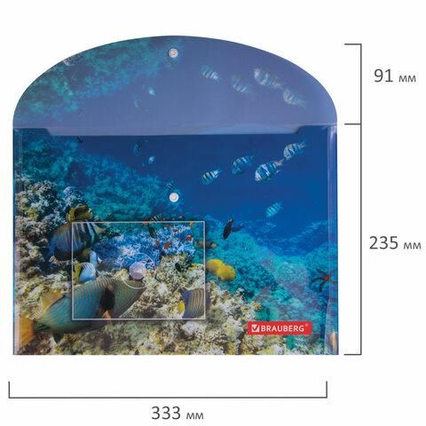 Папка-конверт с кнопкой BRAUBERG "SEA WORLD", А4, 160 мкм, до 100 листов, цветная печать, 228041
