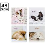 Тетрадь 48л., А5, клетка ArtSpace "Питомцы. The pets"