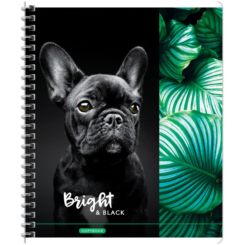 Тетрадь 80л., А5, клетка на гребне ArtSpace "Животные. Bright&black", глянцевый УФ-лак