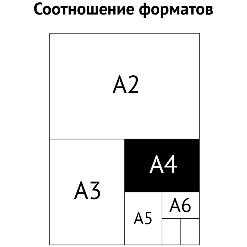 Папка для акварели, с эскизом, 10л., А4, ArtSpace "Цветы", 180г/м2