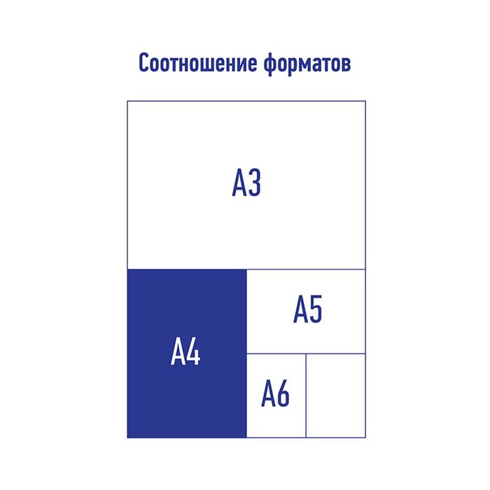 Папка на 2 кольцах Berlingo "Color Zone", 35мм, 1000мкм, оранжевая