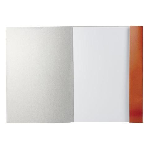 Папка для рисования БОЛЬШОГО ФОРМАТА А3, 20 л., 200 г/м2, BRAUBERG, 297х420 мм, 129224