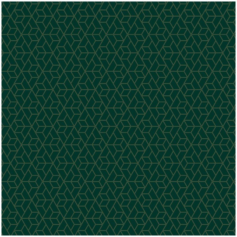Упаковочная бумага глянц. 70*100см, MESHU "Dark green", 90г/м2