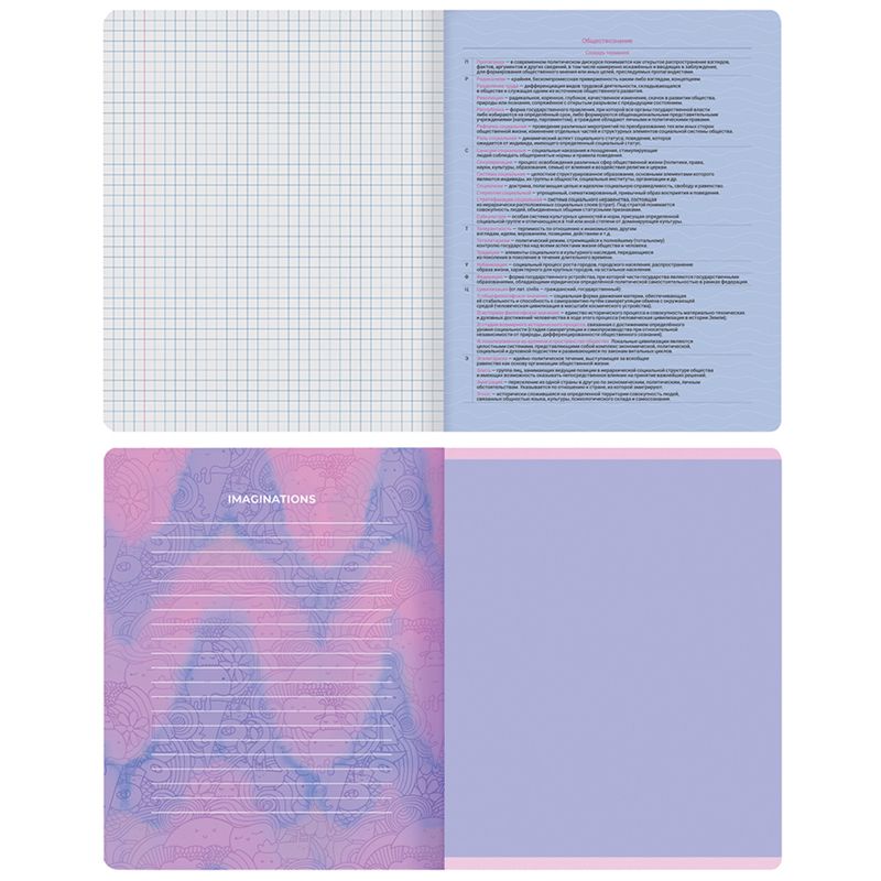 Тетрадь предметная 48л. MESHU "Candy color" - Обществознание, "софт-тач" ламинация, тиснение фольгой