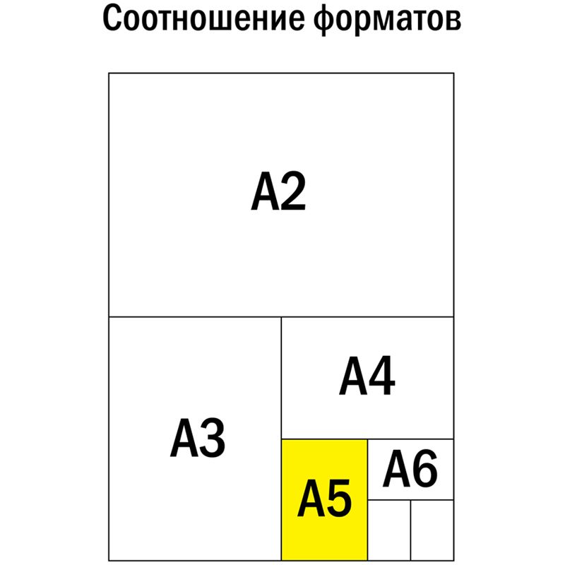 Тетрадь предметная 48л. ArtSpace "Котоцинизм" - Литература, ТВИН-лак