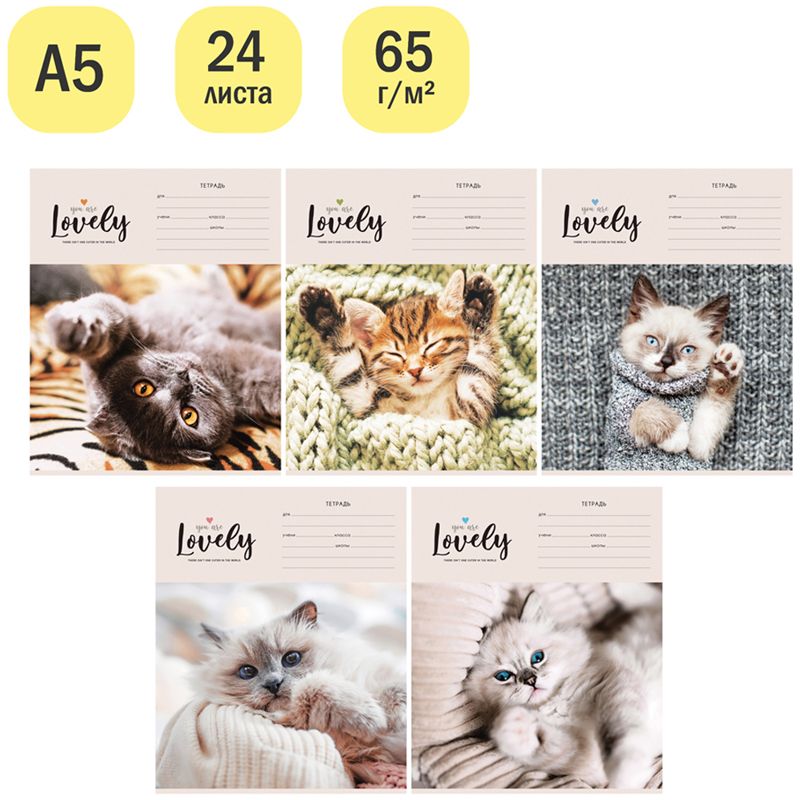 Тетрадь 24л., клетка ArtSpace "Питомцы. Lovely Cat", эконом