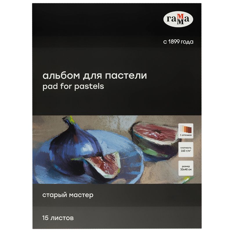 Альбом для пастели, 15л., 300*400мм, на склейке Гамма "Старый Мастер", 160г/м2, ячеистая фактура, 5 цветов, теплые тона