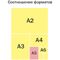 Папка для тетрадей 2 отделения А5 ArtSpace "Football team", пластик, на липучке