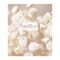 Тетрадь 96л., А5, клетка ArtSpace "Цветы. Flowers for inspiration"