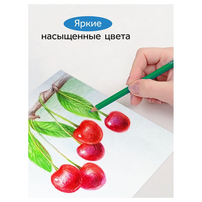 Карандаши цветные Гамма "Классические", 36цв., заточен., картон. упаковка, европодвес