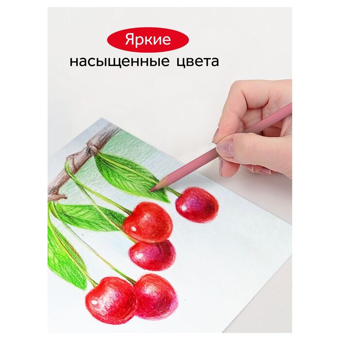 Карандаши цветные Гамма, 12цв., квадратные, пастельн., заточен., метал. пенал