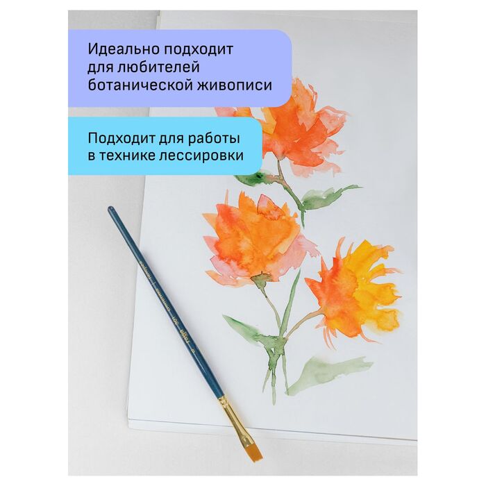 Набор художественных кистей синтетика Гамма "Галерея", 6шт., круглые №2/0, 3, 6, плоские №2, 8, веерные № 4, блистер, европодвес