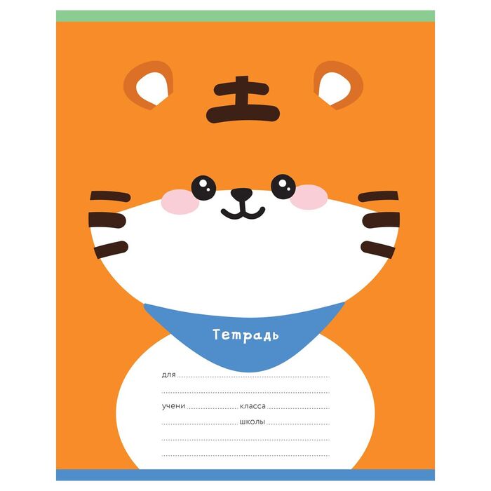 Тетрадь 12л., частая косая линия MESHU "Lovely face"