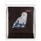Мешок для обуви ПИФАГОР, 1 отделение, 42х34 см, "White Owl", 270182