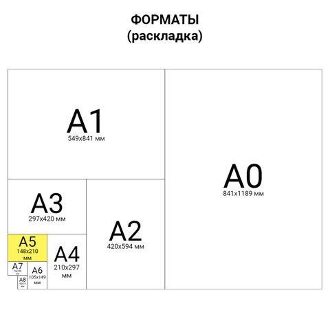 Тетрадь А5, 48 л., ПЗБМ, скоба, клетка, Soft Touch, фольга, "Молодежка" (5 видов), 028788
