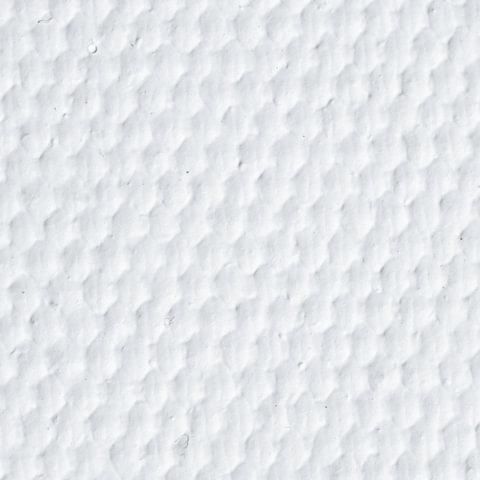 Холст в рулоне BRAUBERG ART CLASSIC, 1,6x10 м, грунт., 380 г/м2, 100% хлопок, среднее зерно, 191032
