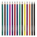 Карандаши цветные ЮНЛАНДИЯ "ВОЗДУШНЫЙ ШАР", 12 цветов + 2 чернографитных, пластиковые, трехгранные, 181688