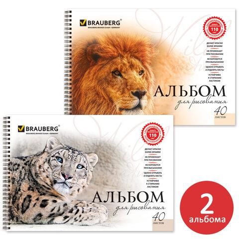 Альбомы для рисования А4 40 л., КОМПЛЕКТ 2 шт., гребень, обложка картон, BRAUBERG, 205х290 мм, "Хищники" (2 вида), 880028