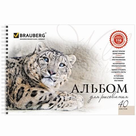 Альбомы для рисования А4 40 л., КОМПЛЕКТ 2 шт., гребень, обложка картон, BRAUBERG, 205х290 мм, "Хищники" (2 вида), 880028