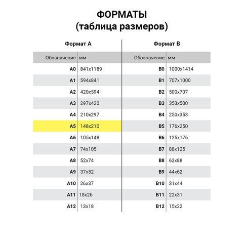 Сменный блок для тетради на кольцах А5 120 л., BRAUBERG, ПОВЫШЕННОЙ ПЛОТНОСТИ, белый, 403638