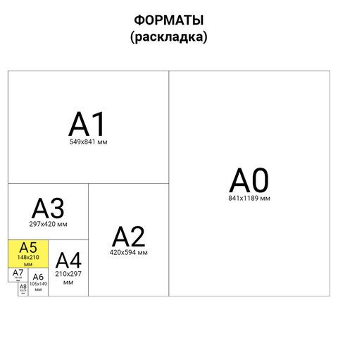 Тетрадь А5 48 л. АЛЬТ скоба, клетка, Soft Touch, бежевая бумага 70 г/м2, "ЁЖИК РОМАНТИК" (5 видов), 7-48-745