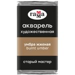 Акварель художественная Гамма "Старый Мастер" умбра жженая, 2,6мл, кювета