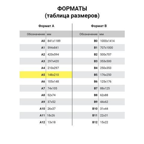 Тетрадь ЗЕЛЁНАЯ обложка 12 л., линия с полями, офсет №2 ЭКОНОМ, "ПИФАГОР", 104985