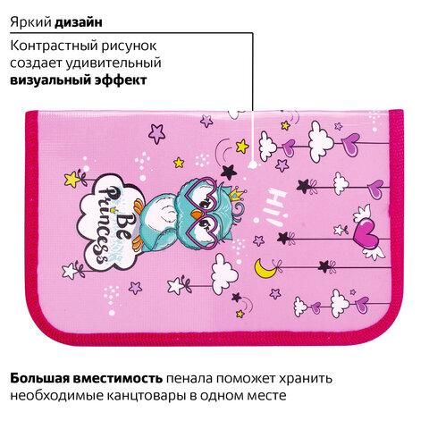 Пенал ПИФАГОР, 1 отделение, ламинированный картон, 19х11 см, "OWL PRINCESS", 229150