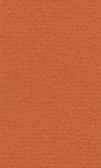 Бумага для пастели "Lana" Lana Colours цв. оранжевый, 160 г/м², 21х29,7 см, 25л
